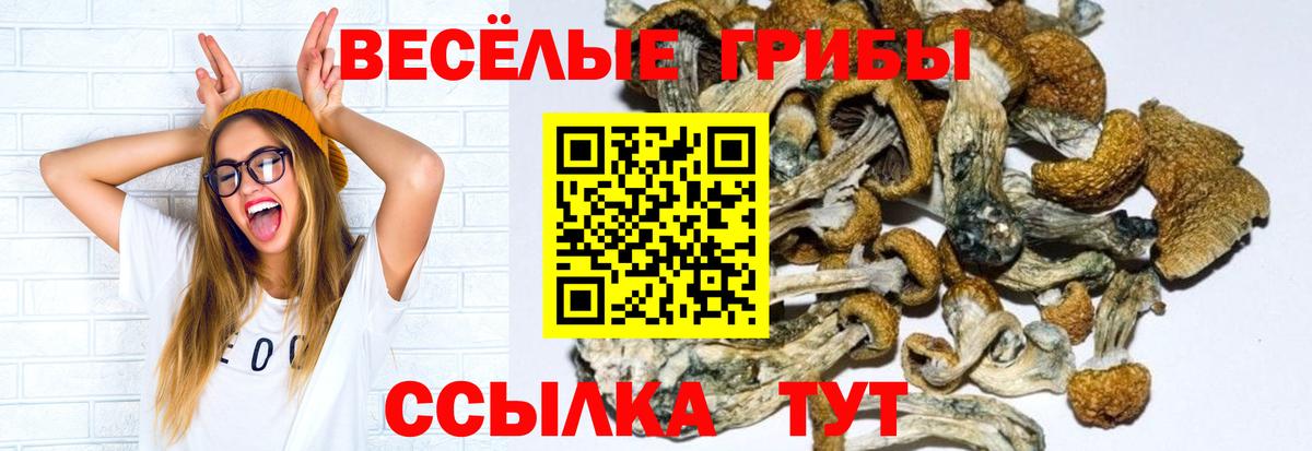 Псилоцибиновые грибы GOLDEN TEACHER Мелеуз