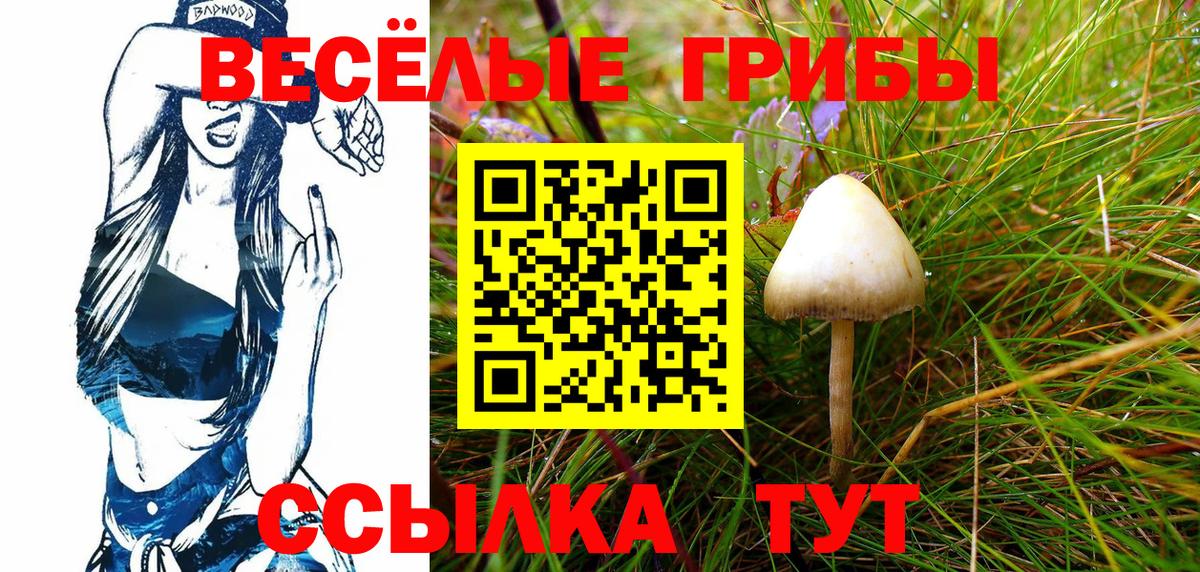 Мелеуз  Псилоцибиновые грибы Psilocybine cubensis  Вход с VPN 